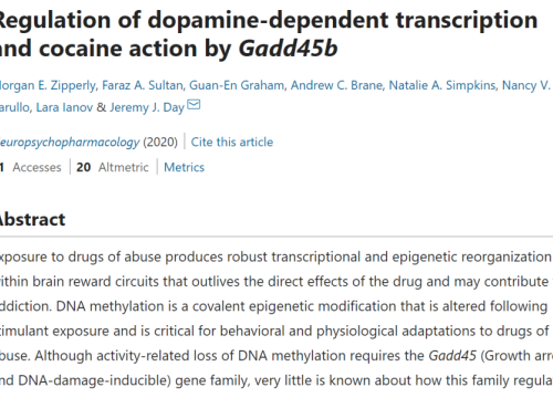 2020 Day lab paper on cocaine addiction