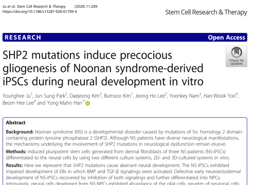 2020_stemcellresearchandtherapy_ju_shp2mutationsinduceprecocious