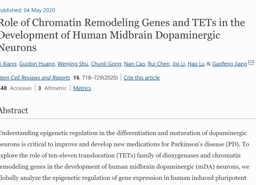 2020_stemcellreviewsandreports_xiang_roleofchromatinremodeling