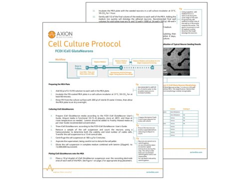 Axion Bio Cell Culture Protocol CDI Glutaneurons