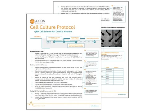 Axion Bio - Culture Protocol - QBM Cell Science Rat Cortical Neurons