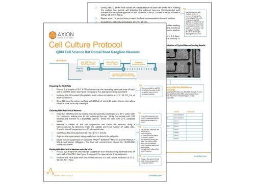 Axion Bio Cell Culture Protocol QBM Rat DRG Neurons