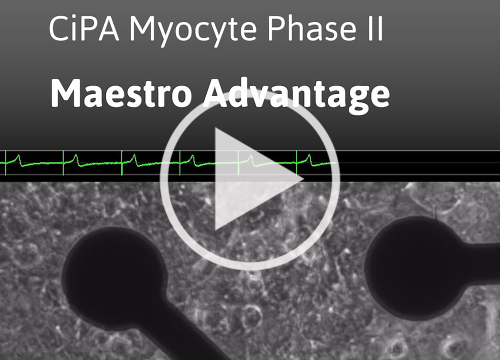 CiPA Phase II Maestro Advantage video