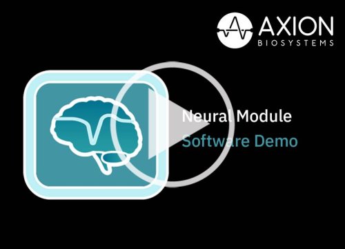 Neural Software Module Video
