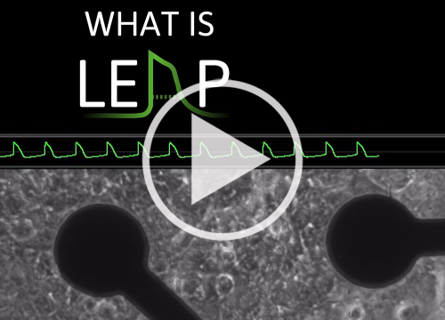 What is LEAP video