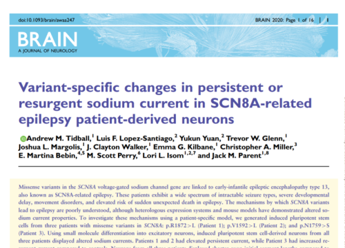 2020 Brain patient-derived neurons and epilepsy