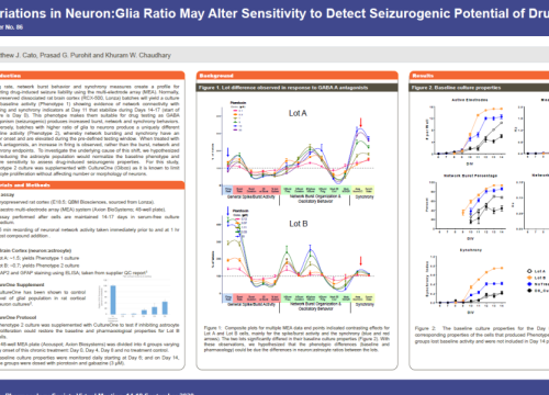 SPS 2020 Poster on Variations in Neuron:Glia Ratio May Alter Sensitivity to Detect Seizurogenic Potential of Drugs