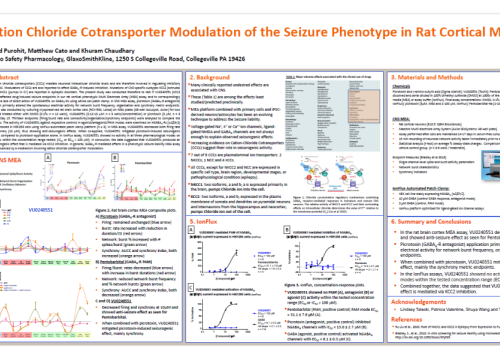 SPS 2020 Seizure phenotype in Rat Cortical MEA