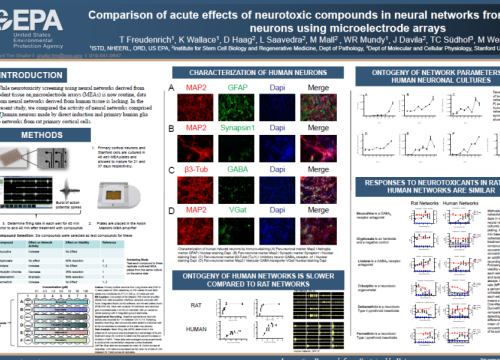 2020 Neucyte poster neurotoxic compounds on neural networks on multwell MEA system