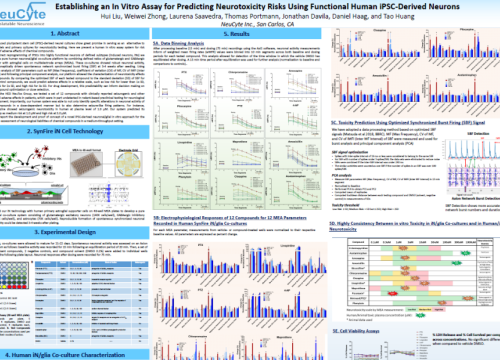 SPS 2020 Poster Neucyte hiPSC-neurons on multiwell MEA system
