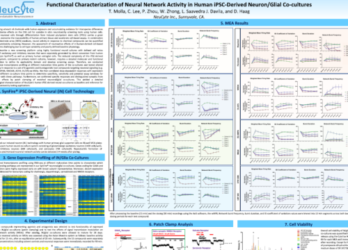 2020 Neucyte poster characterization of neural netowrk activity in neuron and glial co-cultures on MEA system