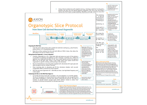 Neural Organoid Slice Protocol