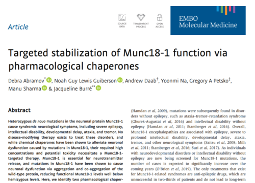 2020 publication on encephalopathies drug treatment targeting and MEA