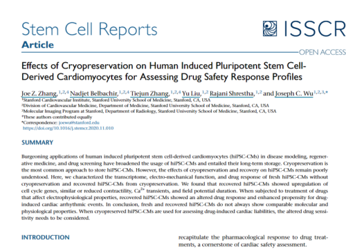 2020 Stem Cell Effect of Cryopresevation