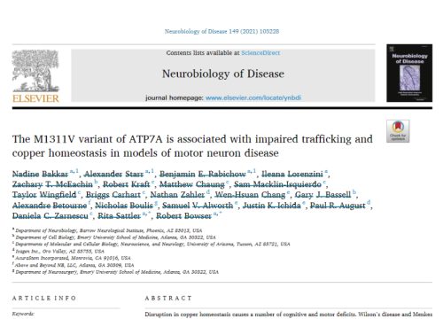 2020 publication on ALS and motor neuron disease