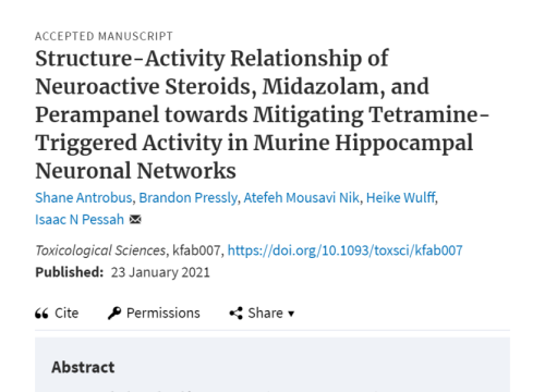 SOT 2021 hippocampal neuronal networks