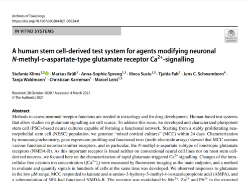 human stem-cell derived test system for neuronal signaling on multiwell MEA system