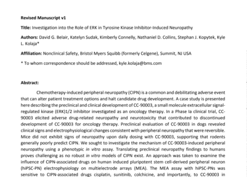 Chemotheraphy neuropathy evaluated on hipsc-peripheral neurons in MEA assay