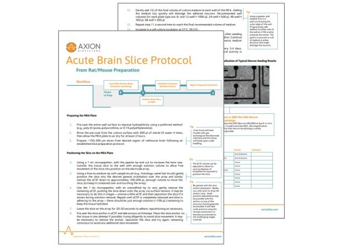 Acute Brain Slice Protocol on MEA platform