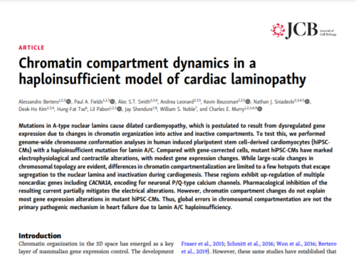 2021 Publication cardiac laminopathy on MEA system
