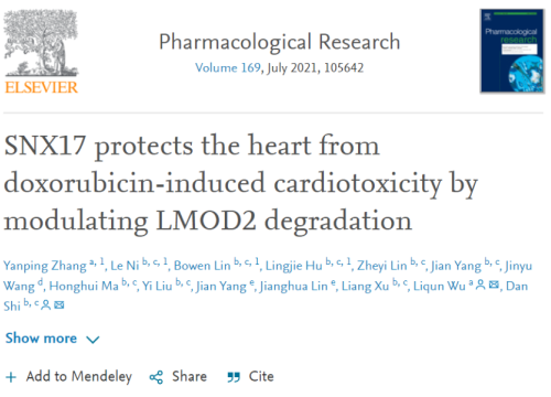 Doxorubicin and cardiotoxicity