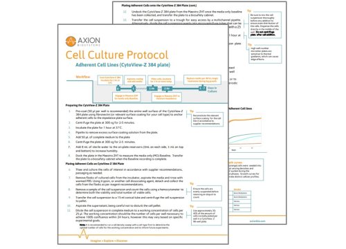 384-well adherent cell plating protocol