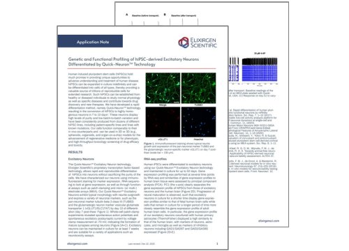 hiPSC-derived excitatory neurons app note