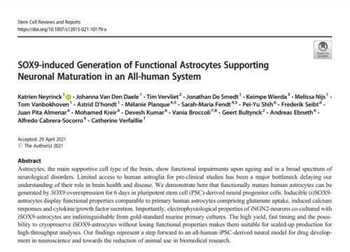 SOX9-induced Generation of Functional Astrocytes Supporting Neuronal Maturation in an All-human System