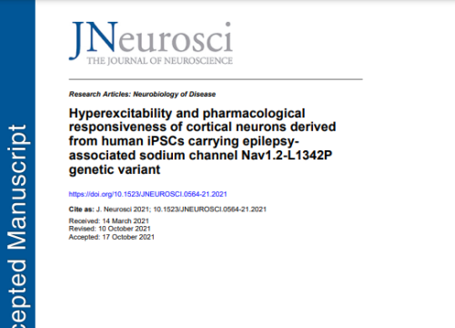 Yang paper on epilespy in J Neuroscience