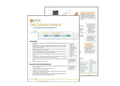 Cancer Spheroids culture protocol