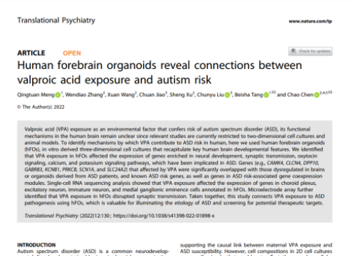 2022 Neural forebrain organoid publication