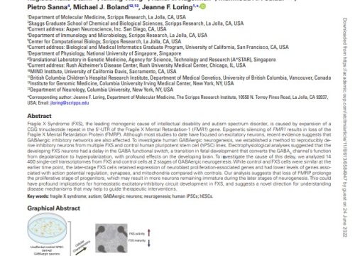 Maturation Delay of Human GABA