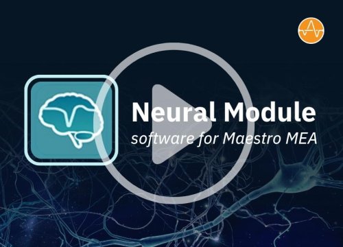 Neural Module software for Maestro MEA