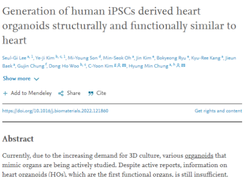 cardiac organoids