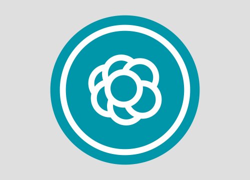 Organoid Analysis Module