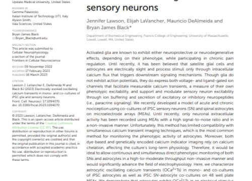 Electrically-evoked oscillating calcium transients in mono- and co-cultures of iPSC glia and sensory neurons