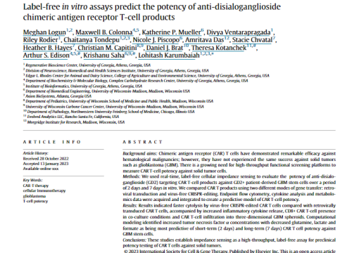 Label-free in vitro assays predict the potency of anti-disialoganglioside chimeric antigen receptor T-cell products