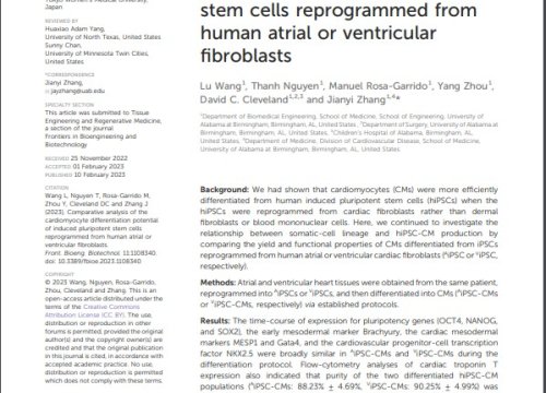 Scientists use Axion’s noninvasive, label-free Maestro MEA to monitor the electrophysiological properties of cardiomyocytes in vitro. 