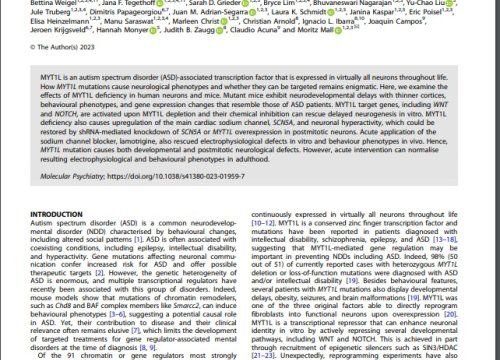 Scientists use Axion’s Maestro platform to investigate the role of MYT1L in autism spectrum disorders in vitro and uncover potential new therapeutic pathways. 