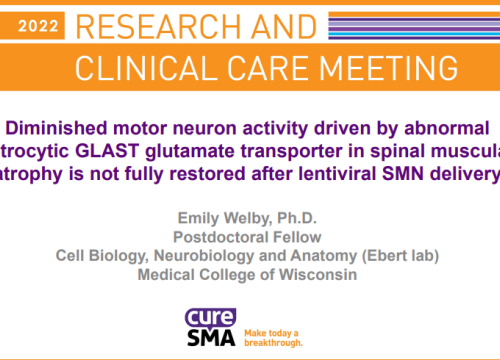 Diminished motor neuron activity driven by abnormal astrocytic GLAST glutamate transporter in spinal muscular atrophy is not fully restored after lentiviral SMN delivery
