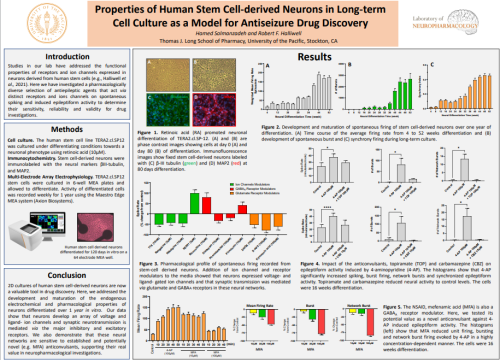 Properties of Human Stem Cell-derived Neurons in Long-term Cell Culture as a Model for Antiseizure Drug Discovery