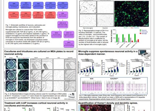 Poster - Sarah Jolly, ARUK-UCL Drug Discovery Institute; UCL