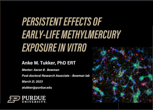 Anke Tukker, Purdue University,  Conference: 62nd Annual meeting of the Society of Toxicology (Poster)