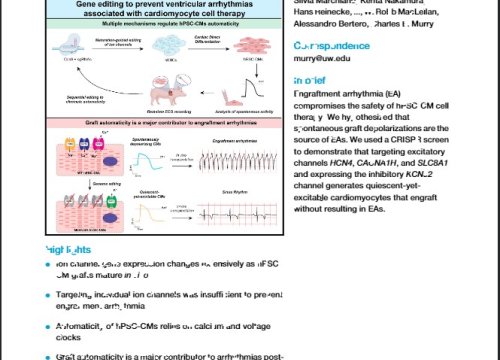 Cell Stem Cell, Volume 30 Issue 4