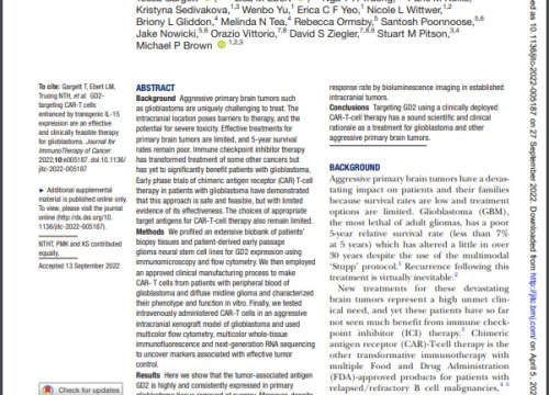 Glioblastoma Therapies