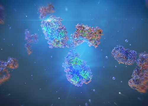 Antibody-dependent cellular cytotoxicity (ADCC) Application
