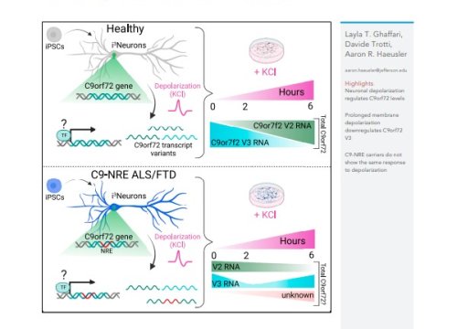 iScience Publication, 24 May 2023