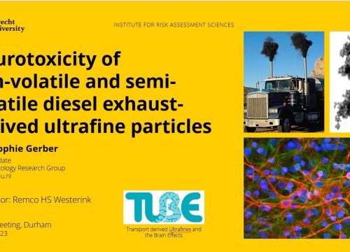 Neurotoxicity of non-volatile and semi-volatile diesel exhaust-derived ultrafine particles, Lora-Sophie Gerber