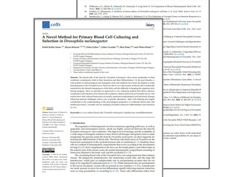 Cells Publication, 21 December 2022