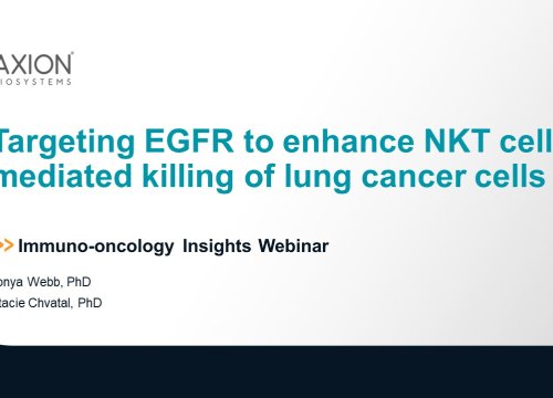 Targeting EGFR to enhance NKT cell-mediated killing of lung cancer cells